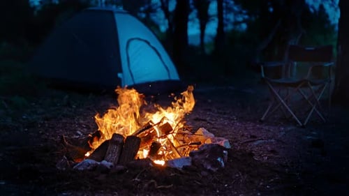 Camp (4K)
