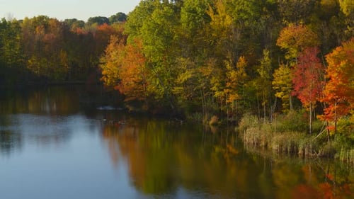 Beautiful autumn trees on the lake side