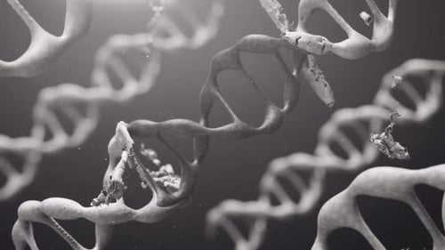 Dna Mutation