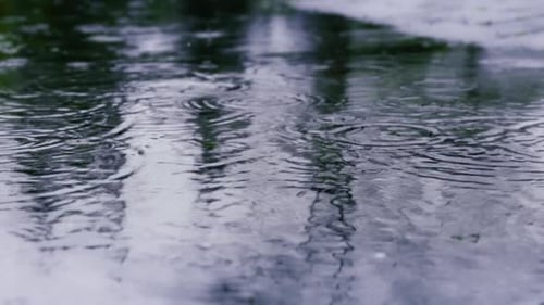 Raindrops Create Ripples in Puddle