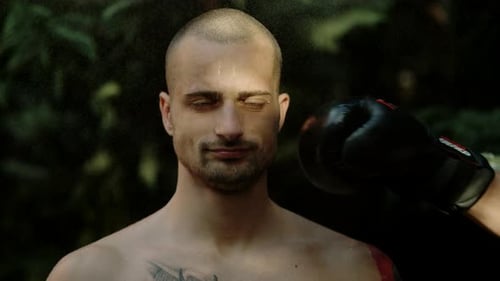 Man Getting Punched in the Face with Boxing Glove