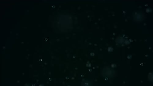 various forms of life in a drop of water. simulation of protozoa by an organism
