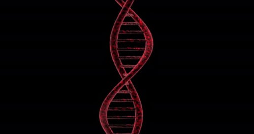 Red DNA Double Helix Rotating Animated Background