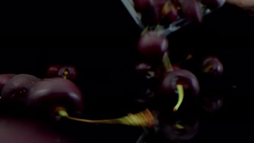 Filmed in a Dark Key