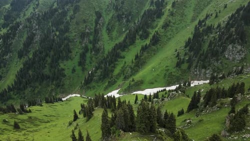 Aerial View Snow Mountain Glacier in the Summer Mountains