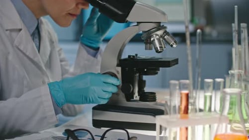 Scientist Works in Lab with Microscope and Test Tubes