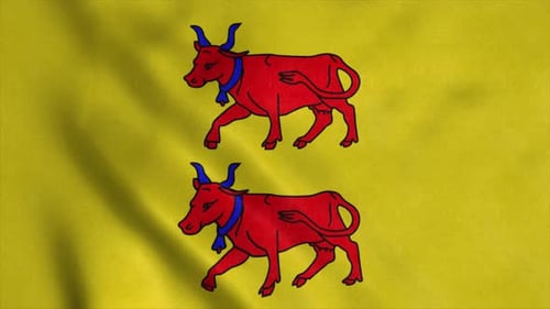 Bärenflagge Frankreich weht im Wind Hintergrund