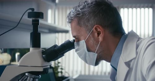 Scientist Studying Plant Sample in Microscope