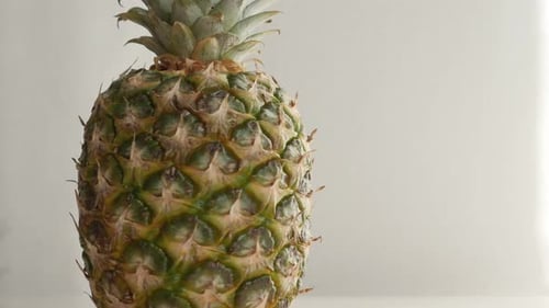 Whole fresh pineapple fruit close-up 4K 2160p 30fps UltraHD tilting footage - Ananas comosus on wh
