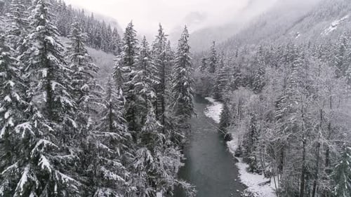 Aerial Rising Above Winter Snow Covered Forest Valley With River Winding By Hazy Mountains