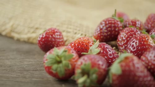 Erdbeerfrucht