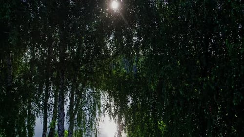 Großer und schöner Fluss