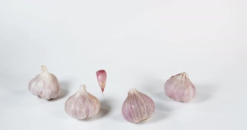 Garlic, allium savitum, Falling against White Background, Slow motion 4K