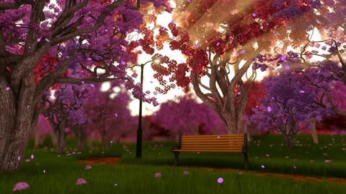 Garden Bench Surrounded by Cherry Blossom Trees