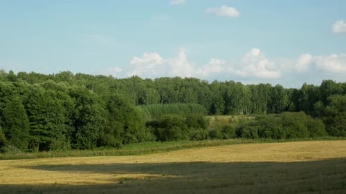 Rouler dans des champs jaunes