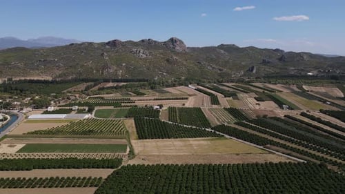 A Plain Surrounded By Mountains with Large Orchards