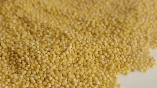 Pile of Yellow Millet Grains Close Up