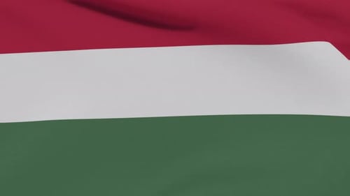 Flag Hungary Patriotism National Freedom Seamless Loop