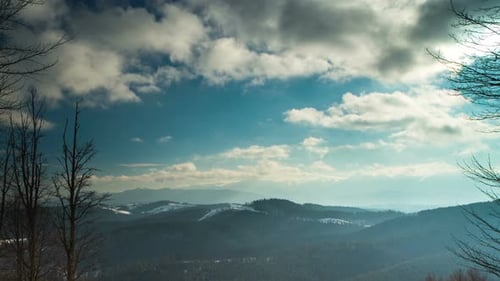 Winter Forest and Mountain Landscape