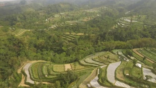 Aerial View of Terraced Farms in Green Mountains
