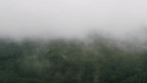 Aerial Top View Drone Flies Over Green Forest and Rain Clouds Rolling Over Woodland. Foggy Morning
