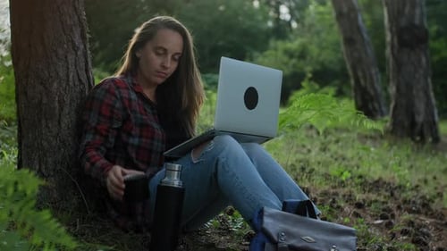 Woman working using laptop near pine tree in the forest. Freelancer Remote Work Concept.