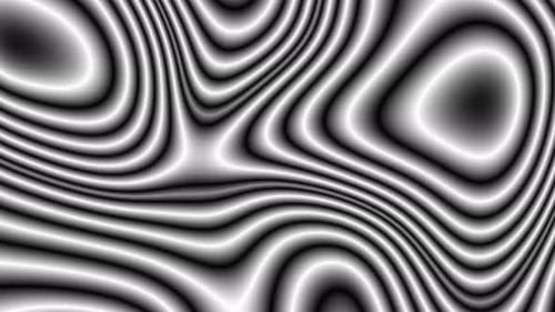 Abstract Fluid Black and White Background Loop Animation