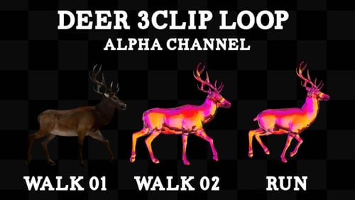 Ciervo 3 clip loop alfa