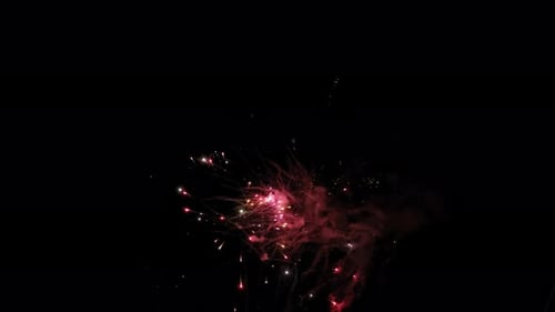 Exploding Fireworks Illuminate the Dark Night Sky