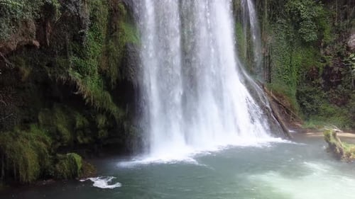 Majestic Waterfall Flowing in Green Forest