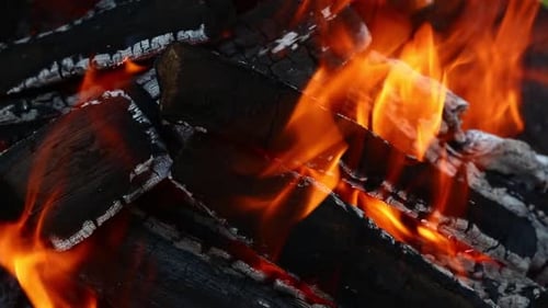 Mesmerizing Close Up of Flames Engulfing Charred Wood