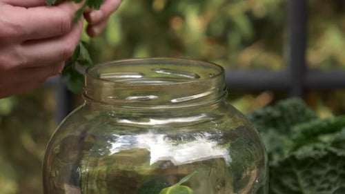 woman prepares cucumbers for canning in jar next to a window on background