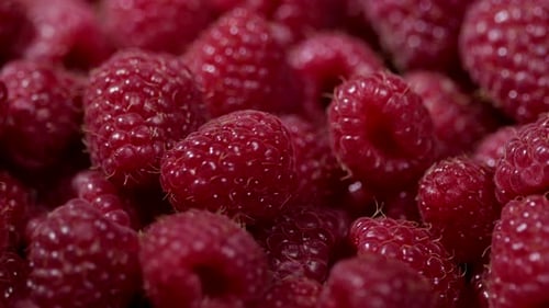 Tasty Sweet Fruit - Ripe Raspberry Rotating Background. Berries Is Full of Antioxidant. Proper Vegan