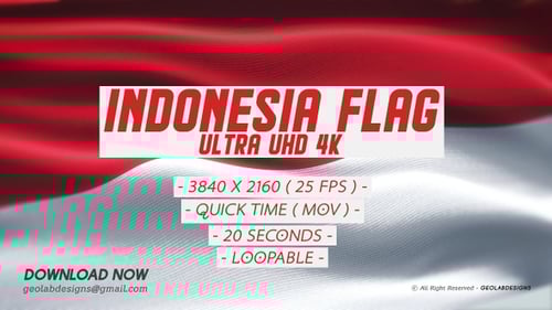 Seamless Waving Flag Animation Background