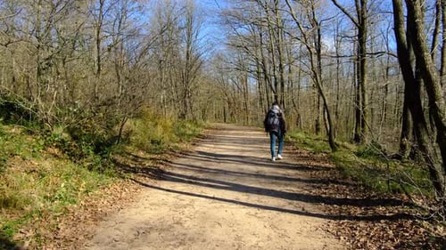 Person Hiking with Backpack on Forest Trail