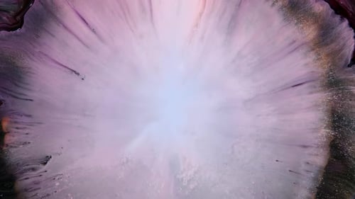 Abstract Fluid Motion in Purple, White, and Black