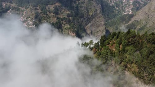 Vue aérienne de Drone survolant une forêt avec des nuages
