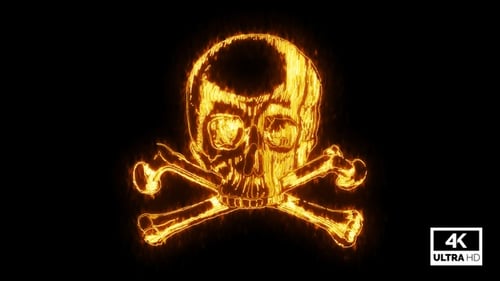 Fiery Skull and Crossbones Animated Reveal
