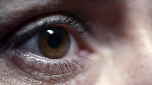 Braunes weibliches Auge