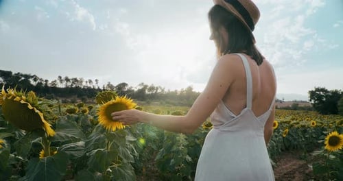 Romantische Frau bleibt im Sommerurlaub auf Sonnenblumenfeld und berührt Blütenblätter