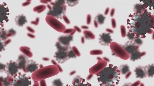 Microscopic Animation of Red Blood Cells and Virus Particles