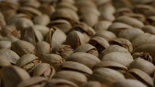 Macro Shot of Fresh Pistachios in Shell