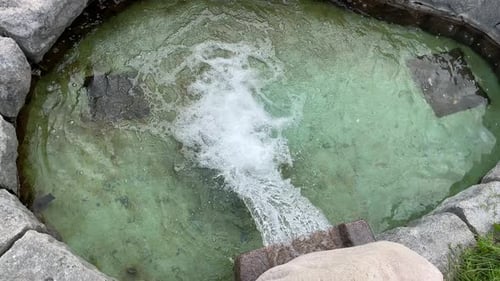 Decorative pond in park.