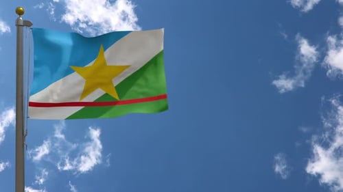 Roraima Flag (Brazil) On Flagpole