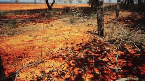 Slow Panoramic View of Old Rural Fence Post