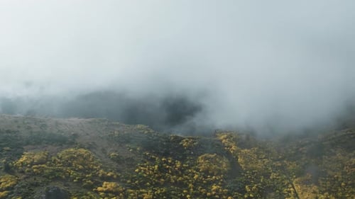 Flying Through Clouds Canopy On The Mountain Peaks In Madeira Island, Portugal. Aerial Drone Shot