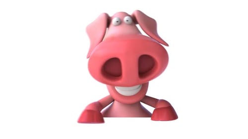 Fun pig
