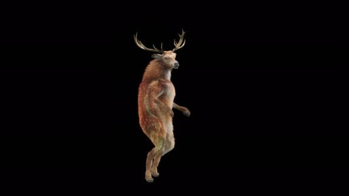 Animated Surreal Deer Character Dancing on Two Legs