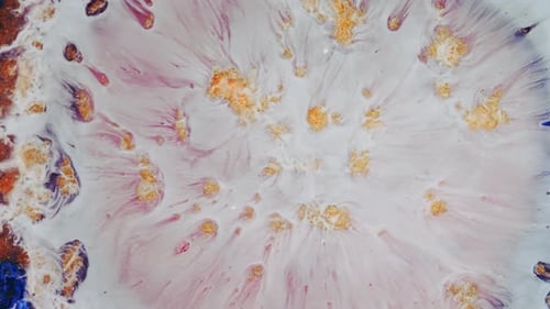 Abstract Swirling Fluid Ink Visuals