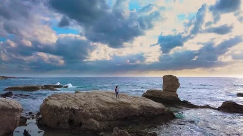 Aerial View of on a Rock in the Sea